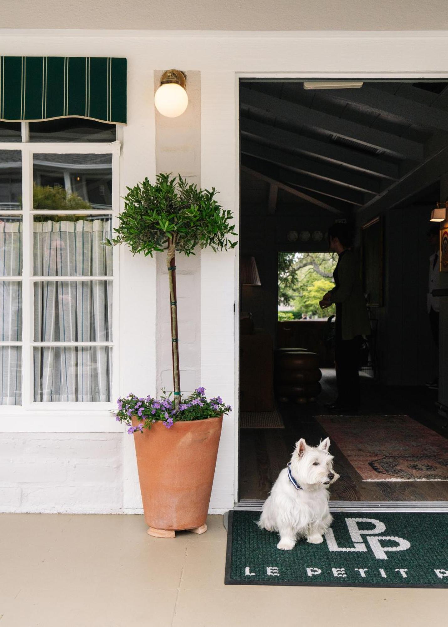 Le Petit Pali At Ocean Ave Ξενοδοχείο Carmel-by-the-Sea Εξωτερικό φωτογραφία